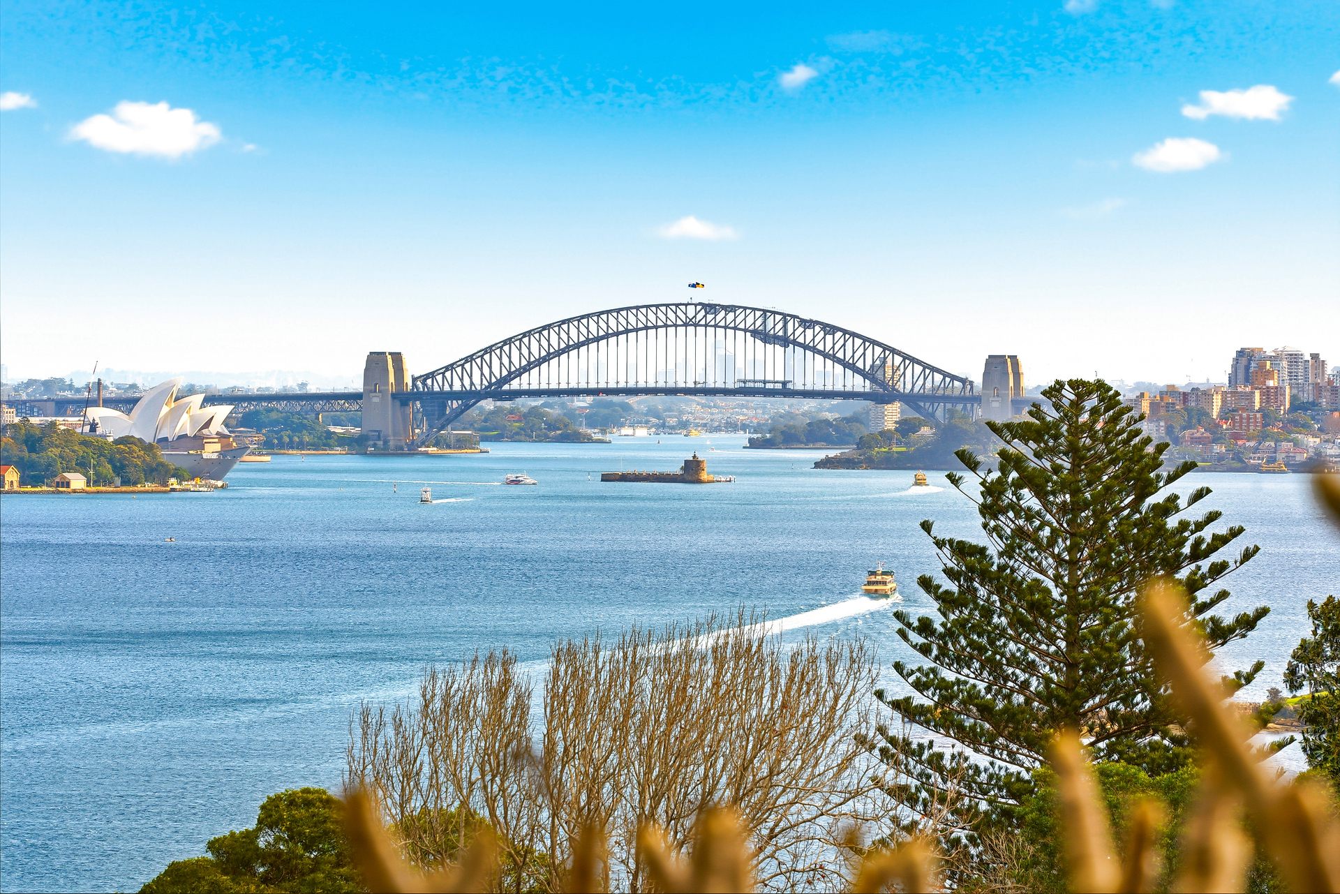 17 New South Head Road, Vaucluse Sold by Goodyer Real Estate - image 1