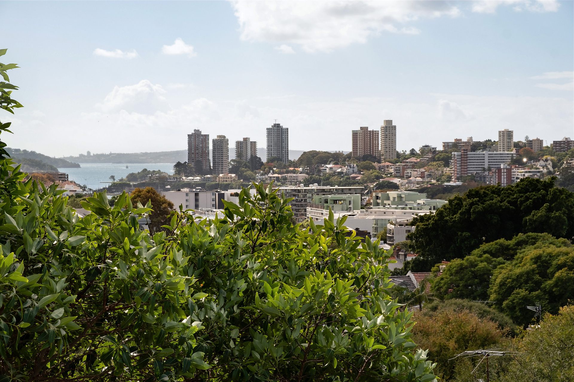 74/13 Campbell Avenue, Paddington  Sold by Goodyer Real Estate - image 1
